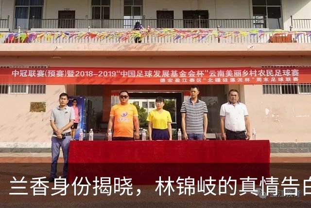 兰香身份揭晓，林锦岐的真情告白感动无数观众